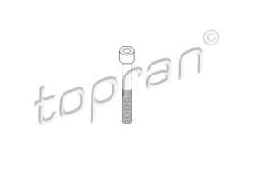 Болт крепления скобы тормозного суппорта Topran 110 707