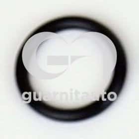 Прокладка впускного коллектора Guarnitauto 1836888000