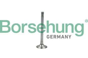 Выпускной клапан Borsehung b19005