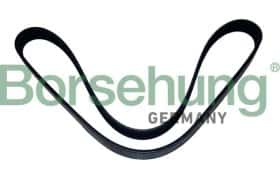 Поликлиновой ремень Borsehung b12502