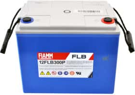 Акумулятор для ДБЖ Fiamm 817178 80 Аг 12 В Акумулятор для ДБЖ Fiamm 817178 80 Аг 12 В