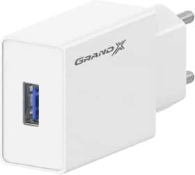 Сетевое зарядное устройство Grand-X CH-03W