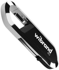 Флешка Wibrand Aligator Black 4 ГБ