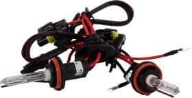 Автолампа Квант PRO H11 PGJ19-2 55 W прозрачная 0000018553