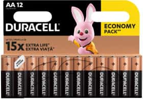 Батарейка Duracell RL027663 AA (пальчикова) 1,5 V 12 шт Батарейка Duracell RL027663 AA (пальчикова) 1,5 V 12 шт