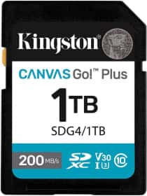 Карта пам’яті Kingston Canvas Go! Plus SDXC 1 ТБ