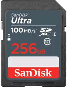 Карта памяти SanDisk Ultra Light SDXC 256 ГБ Карта памяти SanDisk Ultra Light SDXC 256 ГБ