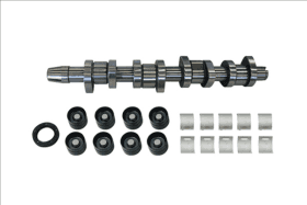 Комплект распредвала Borsehung b11307