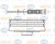 8FT 351 197-381 Behr Hella Осушувач кондиціонера