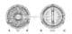 BWC323 AVA Quality Cooling Віскомуфта вентилятора