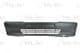 5510-00-5513900P BLIC Бампер для Peugeot 306