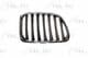 6502-07-0092992P BLIC Решітка радіатора для BMW X1
