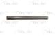 6505-06-0518015P BLIC Порог для Citroen Saxo