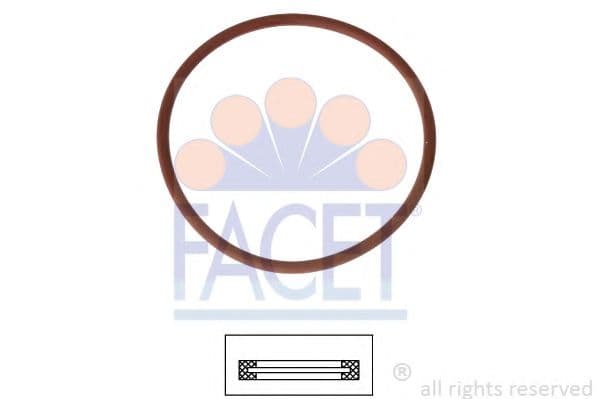 7.9705 Facet Прокладка термостата