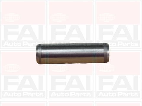 BFG125 Fai Направляющая клапана