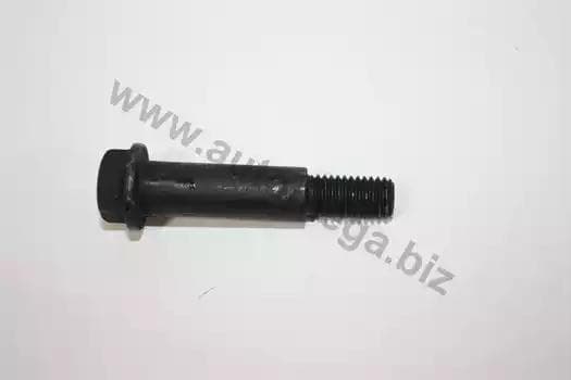 140025510 Automega SCREW