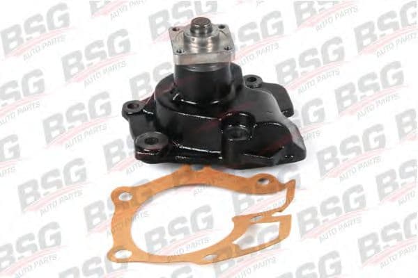 BSG 30-500-001 BSG Помпа