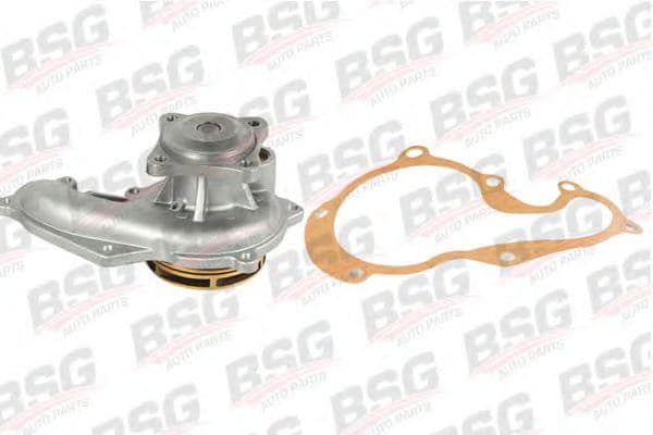 BSG 30-500-013 BSG Помпа