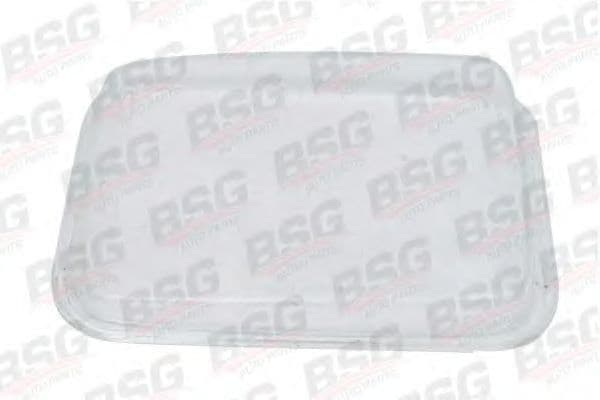 BSG 60-801-006 BSG Розсіювач фари для Mercedes T2