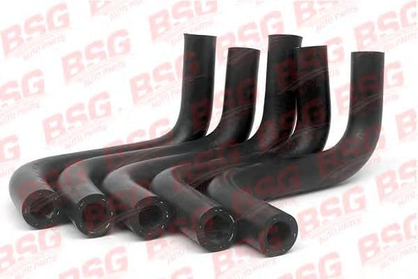 BSG 30-720-022 BSG Запчастина