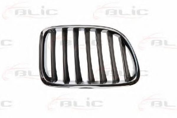 6502-07-0092992P BLIC Решітка радіатора для BMW X1