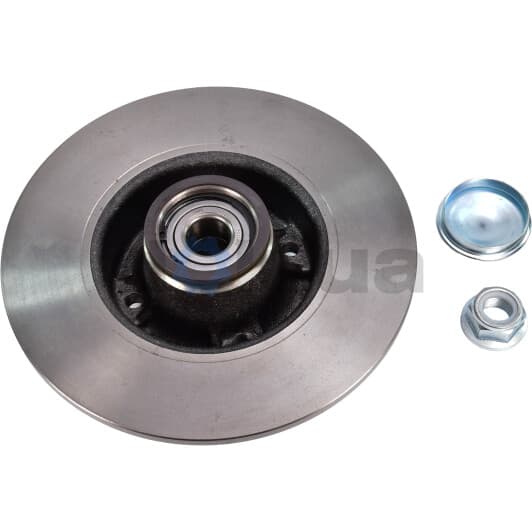 BG9028RS Delphi Гальмівний диск