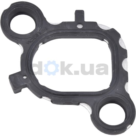 71-36076-00 Reinz Прокладка впускного колектора