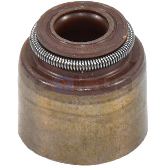 19036062 Corteco Комплект сальників клапанів