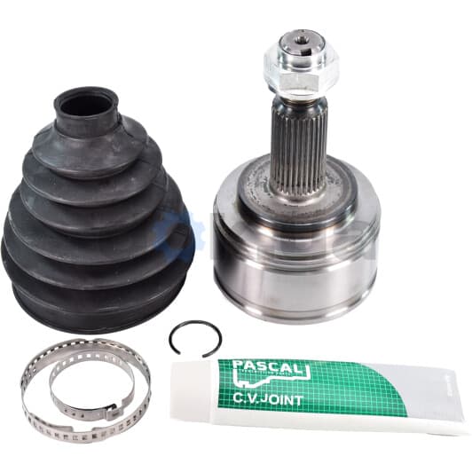 G1X036PC Pascal ШРУС