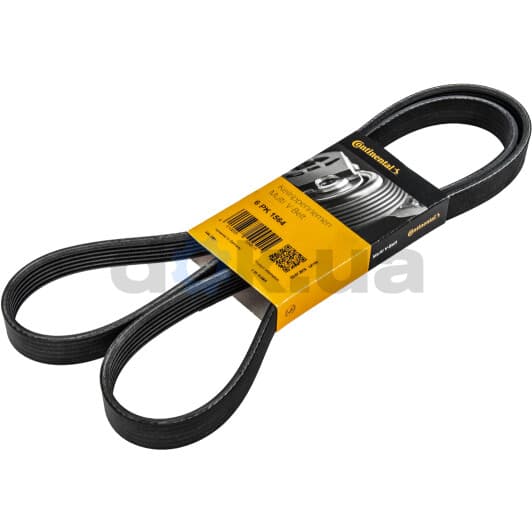 6PK1564 Contitech Поліклиновий ремінь