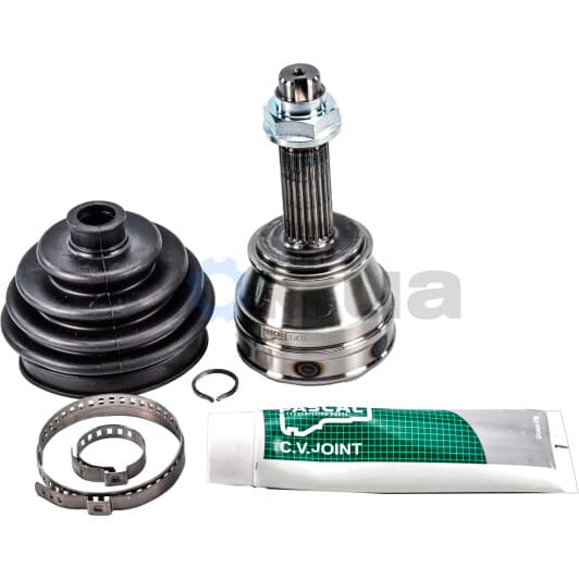 G1F013PC Pascal ШРУС