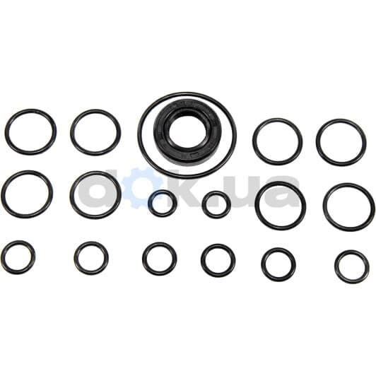 107 356 Topran Комплект прокладок насоса гідропідсилювача керма для Audi 100