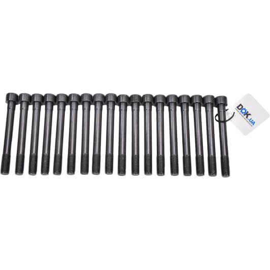 14-55015-01 Reinz Болт ГБЦ