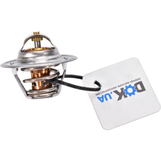 B13140 Borsehung Термостат