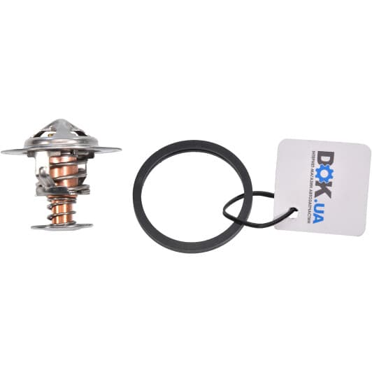 CT5579 BGA Термостат