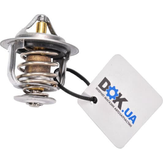 WV52BC82 Tama Термостат