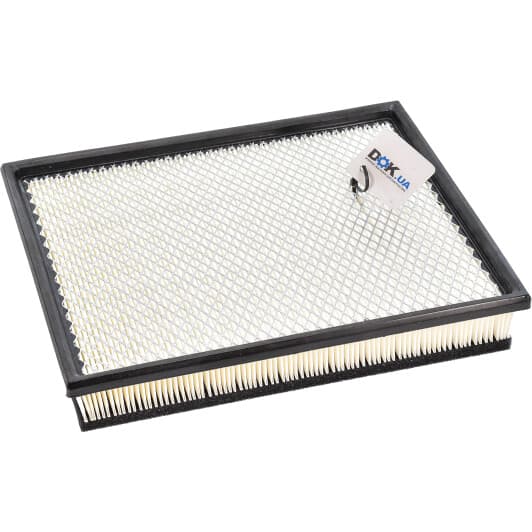 CAF100949P Champion Воздушный фильтр