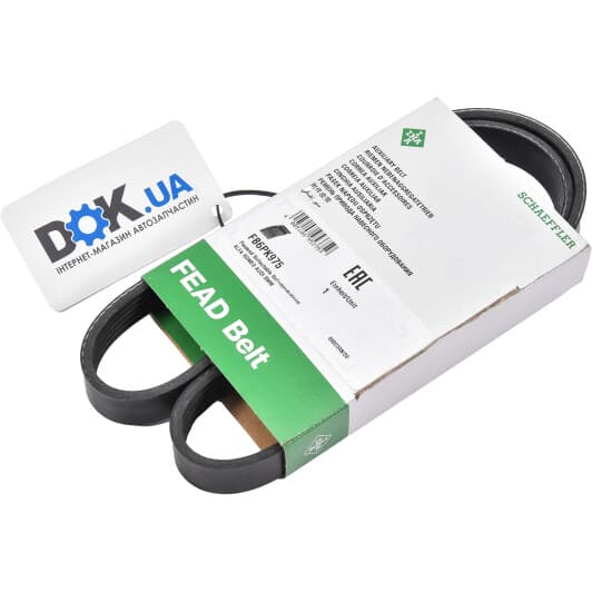 FB6PK975 INA Поліклиновий ремінь
