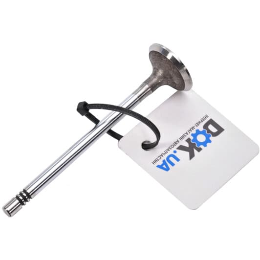 R6397/SCR Freccia Впускной клапан