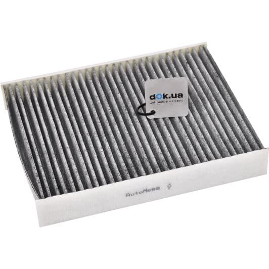 30103530269 Automega Фільтр салону