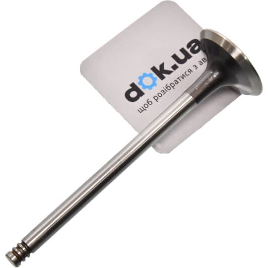 021 VA 31061 000 Mahle Выпускной клапан