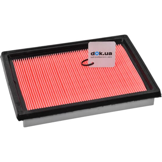 RD1340WA6339 Rider Воздушный фильтр