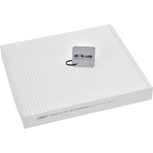 RD61J6WP9036 Rider Фільтр салону