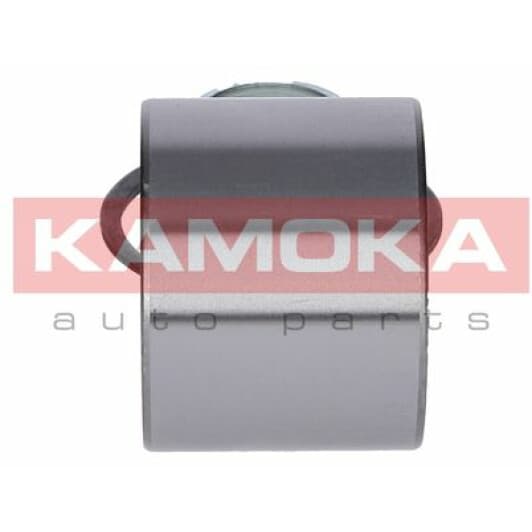 5600065 Kamoka Підшипник ступиці колеса