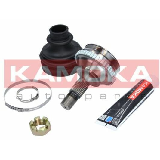 6004 Kamoka ШРУС