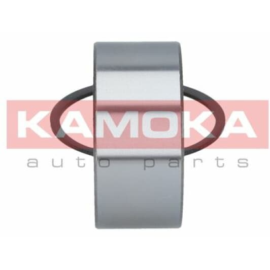5600081 Kamoka Підшипник ступиці колеса