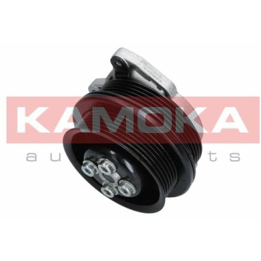 t0278 Kamoka Помпа