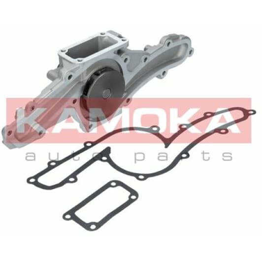 T0004 Kamoka Помпа