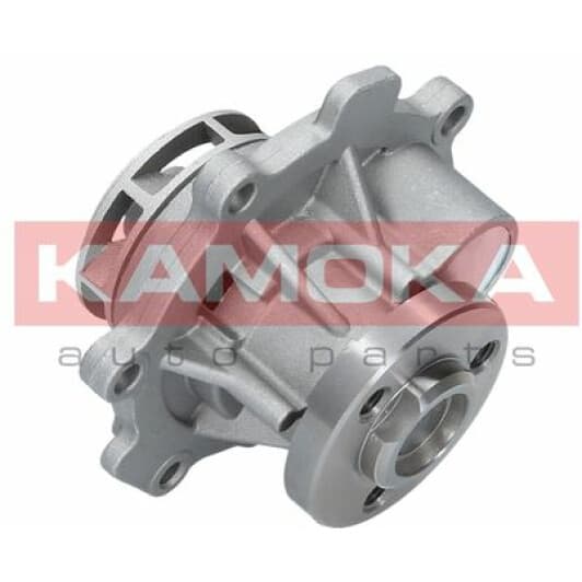 T0009 Kamoka Помпа