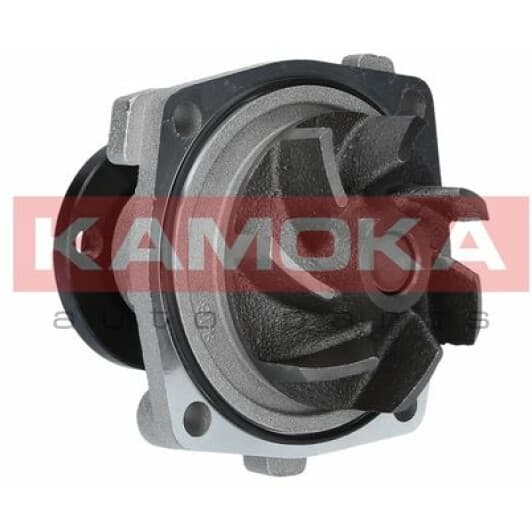 T0011 Kamoka Помпа